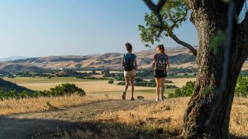 to hikers with their backs to the camera on a dirt trail with a large tree to the right and a huge expanse in front of them