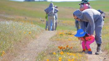 A child wearing pink with a blue hat and her father in gray behind her bend down to look at orange and yellow wildflowers on a dirt trail. Behind them are green hills and other people on the trail