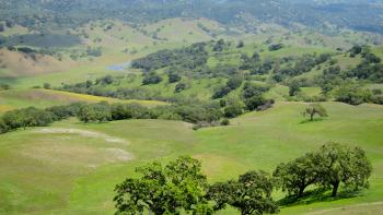 Rolling golden hills covered in dark green trees and crisscrossed with trails, with blueish mountains in the distance, under a bright blue sky