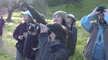 A child with binoculars looks to the left, behind him a group of adult birdwatchers are looking up and in the same direction. One person is pointing and smiling, another person is looking up with binoculars.