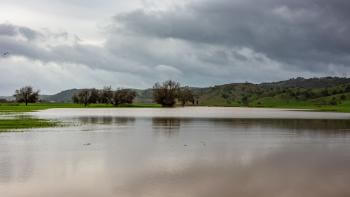 A flooded wetland area full of brown-colored water, with green hills and trees in the distance, under a gray stormy sky