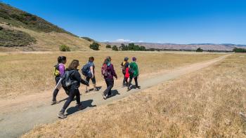 A group of 6 hikers walks on a flat, straight dirt trail through a large field of short golden grass, with a hillside to the left and mountains on the horizon, under a bright blue sky