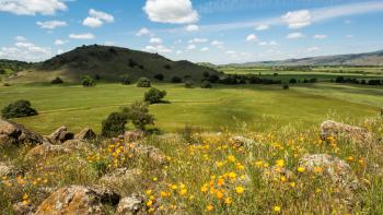 Looking over a rocky outcropping covered in orange poppies across a green grassland dotted in oak trees towards a hillside and bigger green valley beyond, under a blue sky with fluffy white clouds.