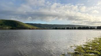 A calm, clear wetland full of water with small ripples on the water's surface, with a line of dark trees in the distance and mountains beyond