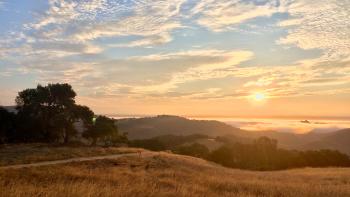 Looking across a golden field with a dark oak tree towards mountains in the distance covered by mist and a sun rising on the horizon with a yellow and blue sky