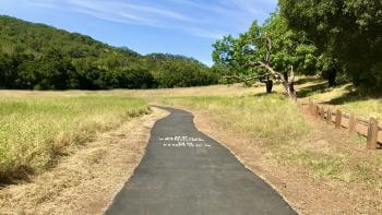 A paved asphalt trail going through a meadow of light green and golden grass, towards a forest of dark green trees, under a blue sky