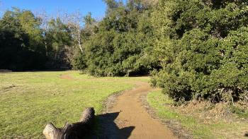 A dirt trail winding past a tree log and through a green meadow of short grass surrounded by big green trees, under a clear blue sky