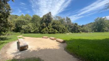 A dirt trail with a seating area consisting of wooden tree logs and a rustic wooden bench, surrounded by a green meadow fringed with large leafy trees under a blue sky with white streaky clouds