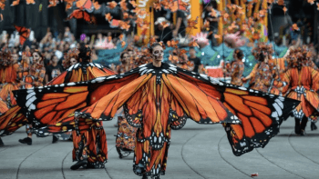 parade of people dressed up as monarch butterflies