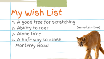 Mountain Lion Holiday Wish List