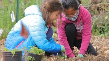 Two children focus on planting plants in the ground