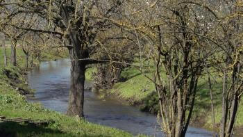 Fisher Creek filled with water surrounded by trees and grass