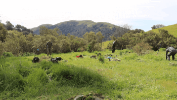 Volunteers restore land around Furtado Barn