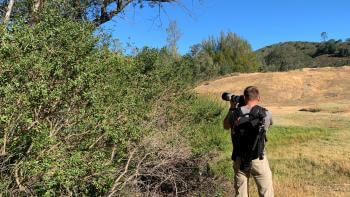 A man wearing khaki pants and a gray shirt with his back to the camera holds up his own camera and faces a growth of green trees among golden hills