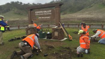 Land Stewards restoring habitat underneath the entry sign at Coyote Valley Open Space Preserve