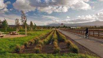 A cyclist rides their bike along a paved trail next to a park with a green lawn, picnic tables, small trees, and shrubs, under a vast blue sky with white fluffy clouds