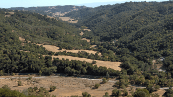 Rolling green and golden hills of Santa Clara Valley