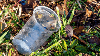 Plastic cup that had been improperly disposed of in nature