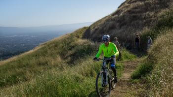 A mountain biker rides down a green and grassy trail