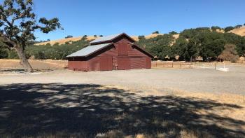 An oak tree next to a red barn at the Tilton Ranch Headquarters.