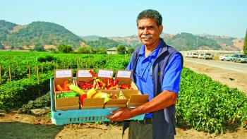 A farmer stands in front of row crops with a box of locally grown chilis