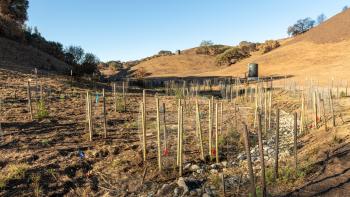 Habitat restoration at Diablo Foothills