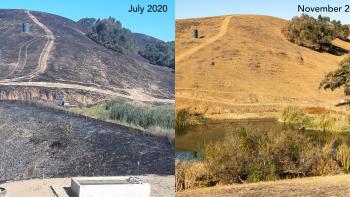 Side by side comparison of Diablo Foothills pre and post fire