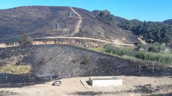 Burned areas of a hillside (Diablo Foothills)