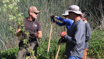 Land stewards gather in a huddle to learn more about invasive plants