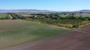 A semi aerial photo of agricultural land with golden hills in the background