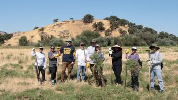 Volunteers pose for a picture in a field of stinkwort