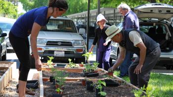 Four people standing around and leaning towards a garden bed filled with plant seedlings in black plastic containers