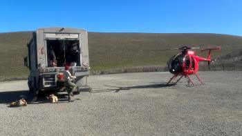 A helicopter at basecamp before tule elk collaring