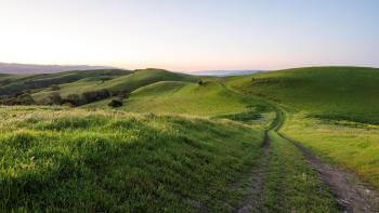 A dirt trail stretching over rolling green hills into the distance, under a light blue sky