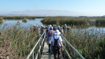 Group of people walking along a bridge leading to a large marsh