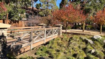 A grassy area with a fence and red and yellow trees in the background