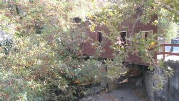 Green trees above a body of water and a red building in the background