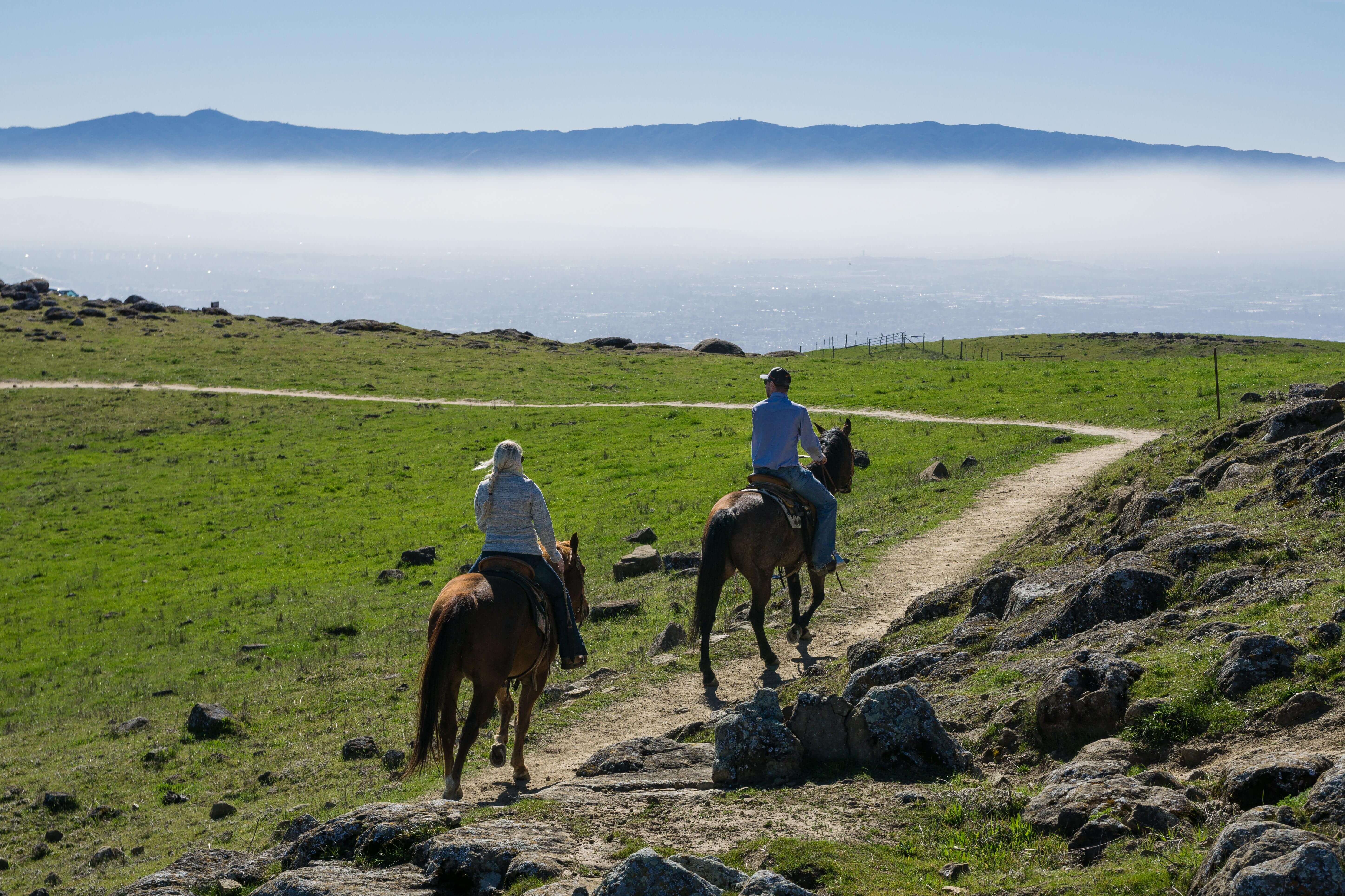 2 horseback riders with their backs to the camera against a green field with fog and mountains in the background