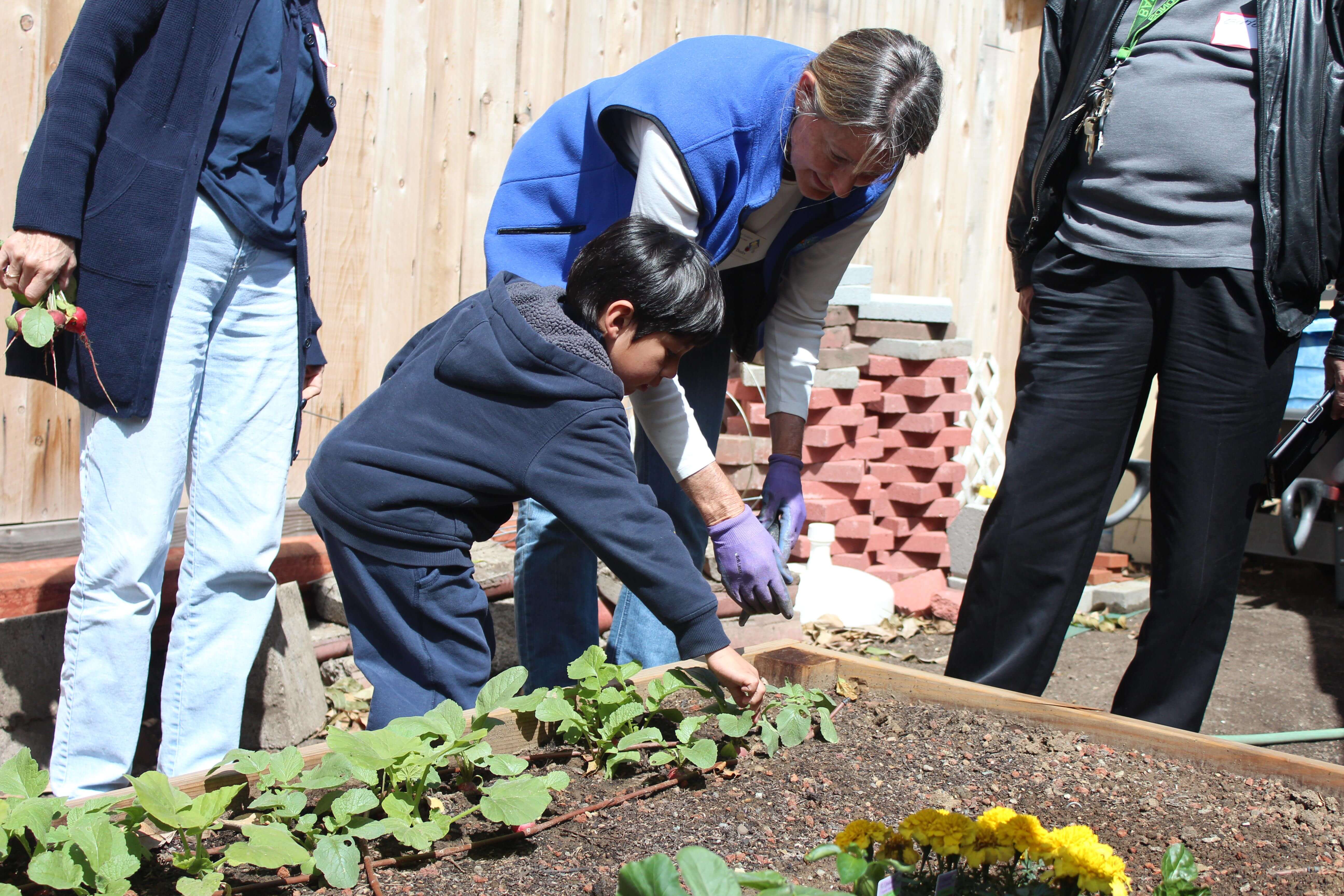 A child and an adult lean over a raised garden bed reaching out to touch a small green plant