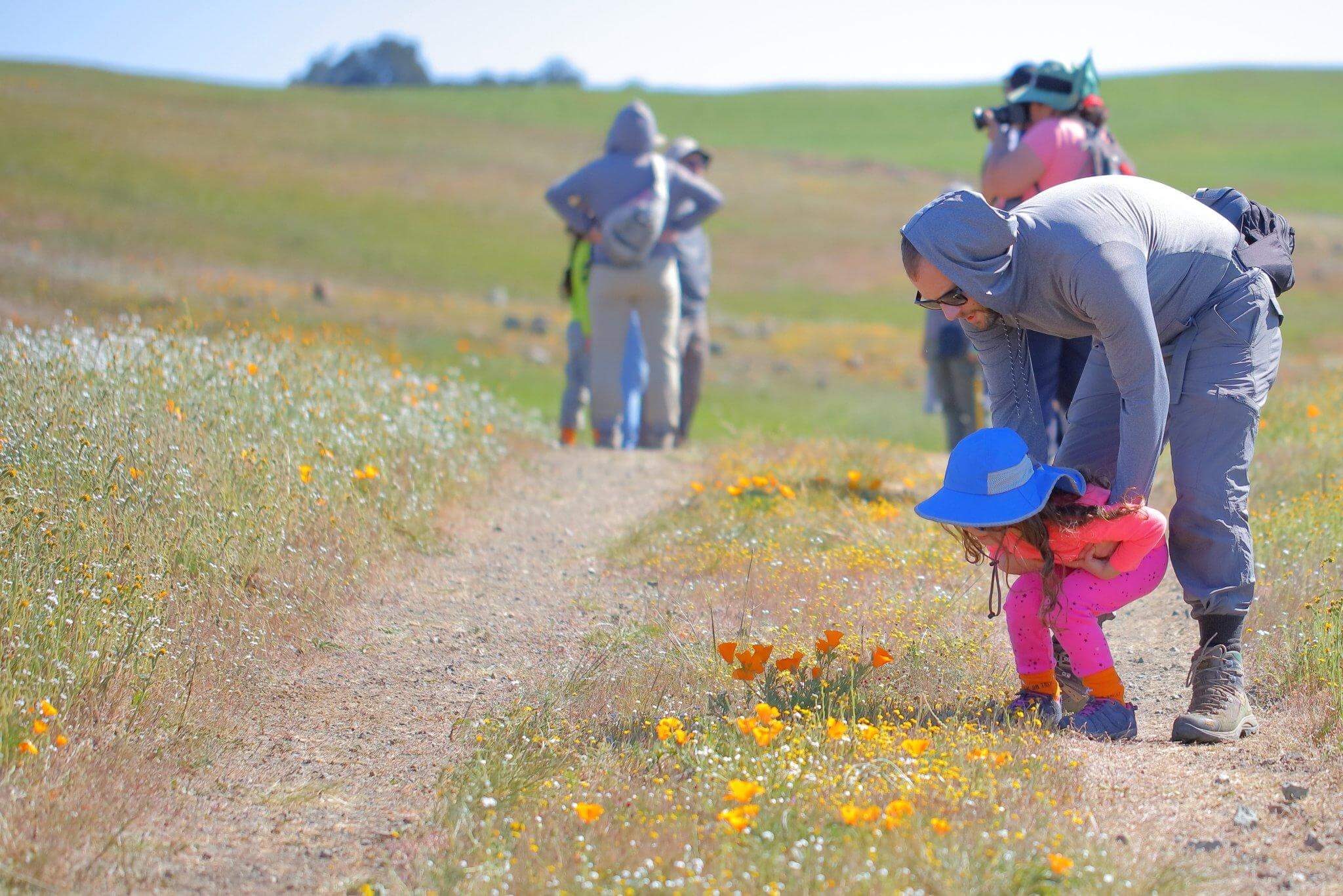 A child wearing pink with a blue hat and her father in gray behind her bend down to look at orange and yellow wildflowers on a dirt trail. Behind them are green hills and other people on the trail