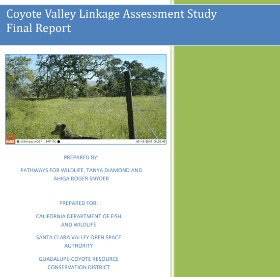 Report cover with white text on blue that reads "Coyote Valley Wildlife Linkages Assessment Study Final Report" over a photo of a coyote in a green field