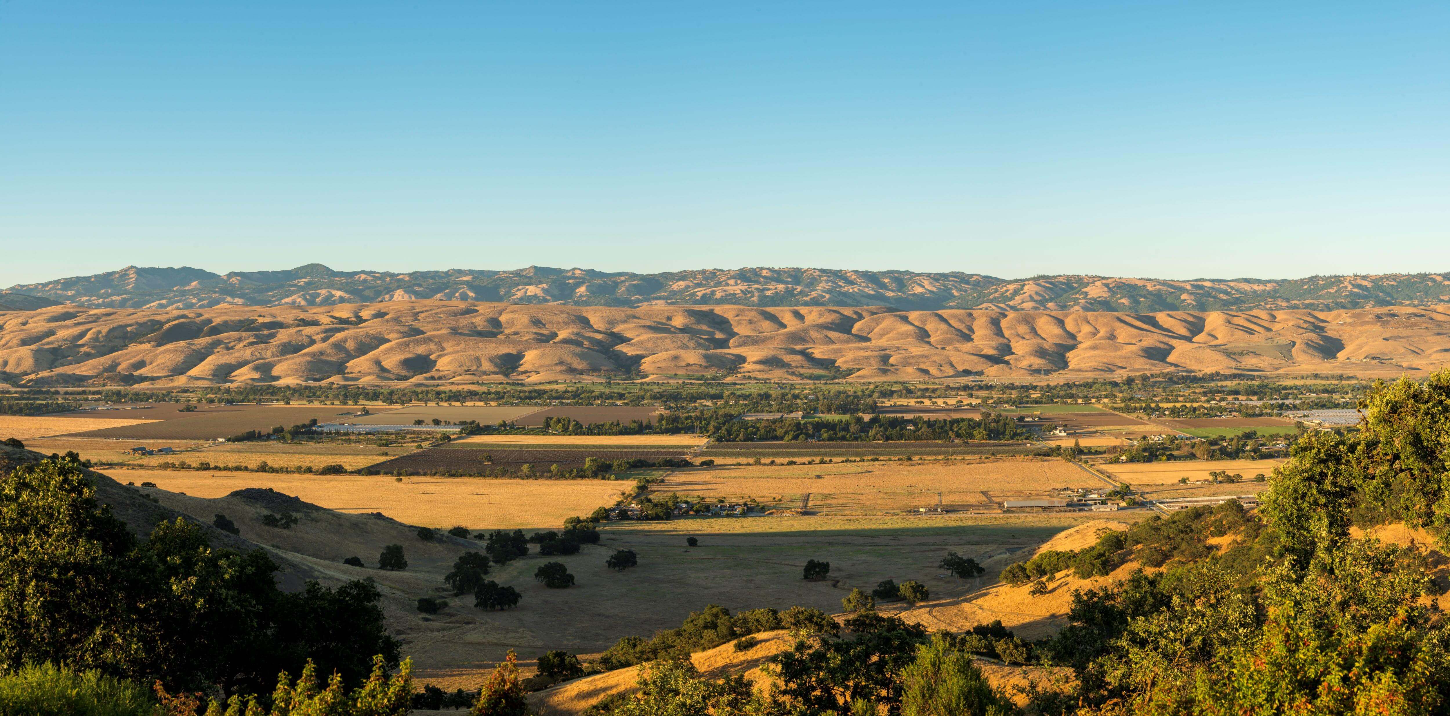 Looking across Coyote Valley, covered in golden fields and farmlands, towards rolling golden hills in the distance all under a blue sky