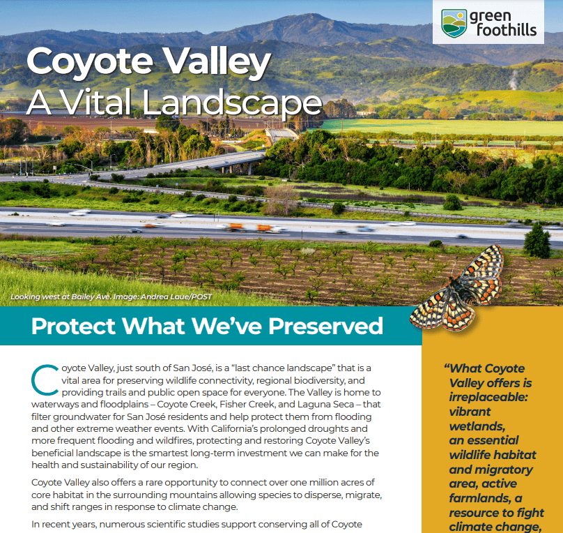 Report cover with white text that reads "Coyote Valley A Vital Landscape" over an images of a valley bisected by a busy freeway