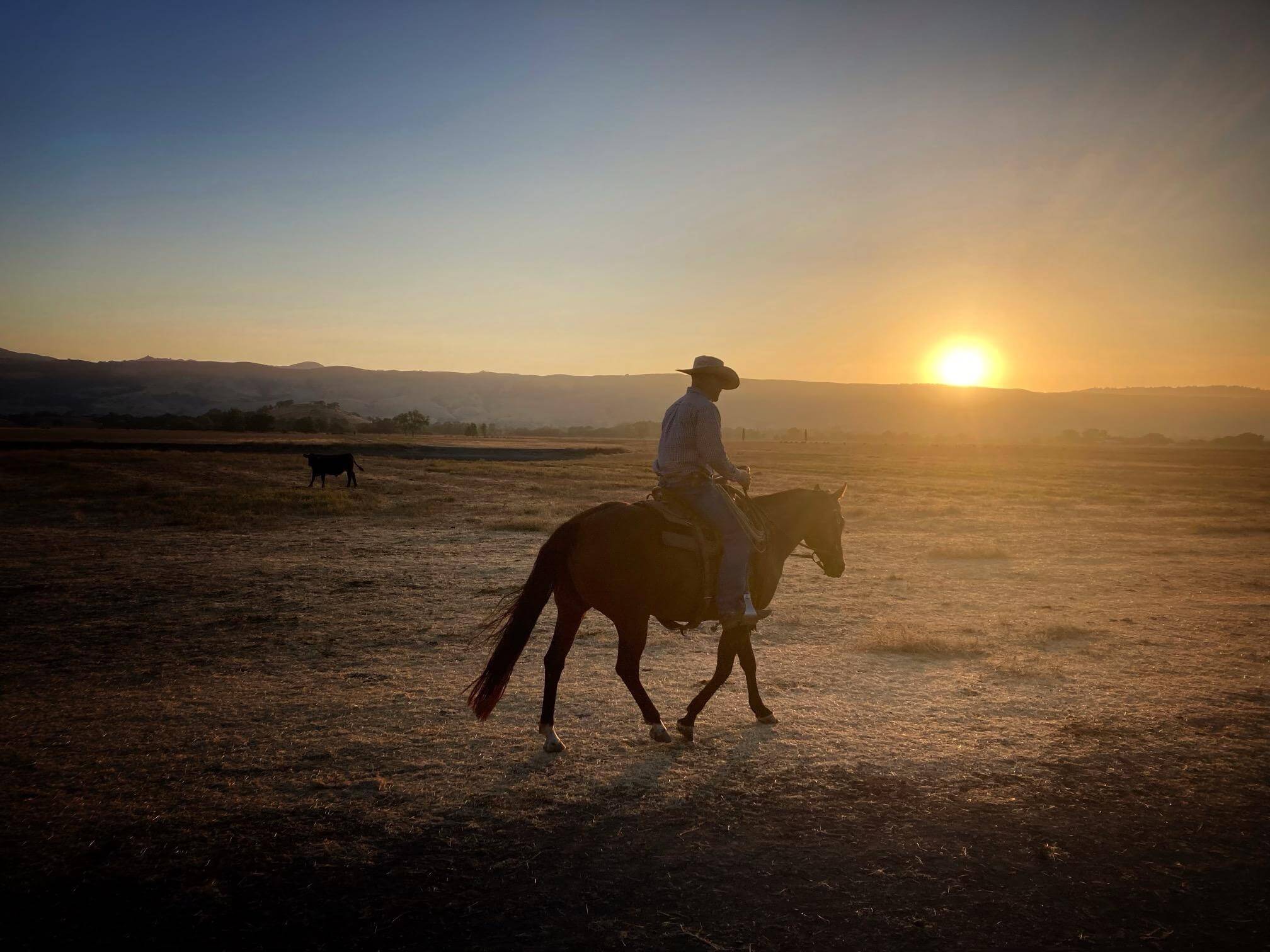 A rancher with a cowboy hat riding a brown horse across an empty field, with the sunsetting over mountains in the distance behind them