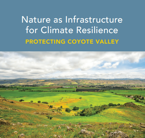 Report cover with white text on blue background that reads "Nature as Infrastructure for Climate Resilience: Protecting Coyote Valley" over a photo of a green valley landscape