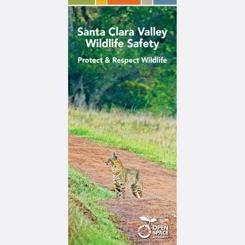 Brochure cover with white text that reads "Santa Clara Valley Wildlife Safety: Protect & Respect Wildlife" over an image of a small bobcat standing on a dirt trail looking to the left