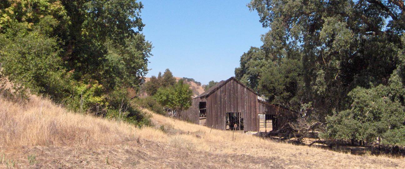 A slope covered with golden grass and green trees, where the remains of an old wooden barn sit 