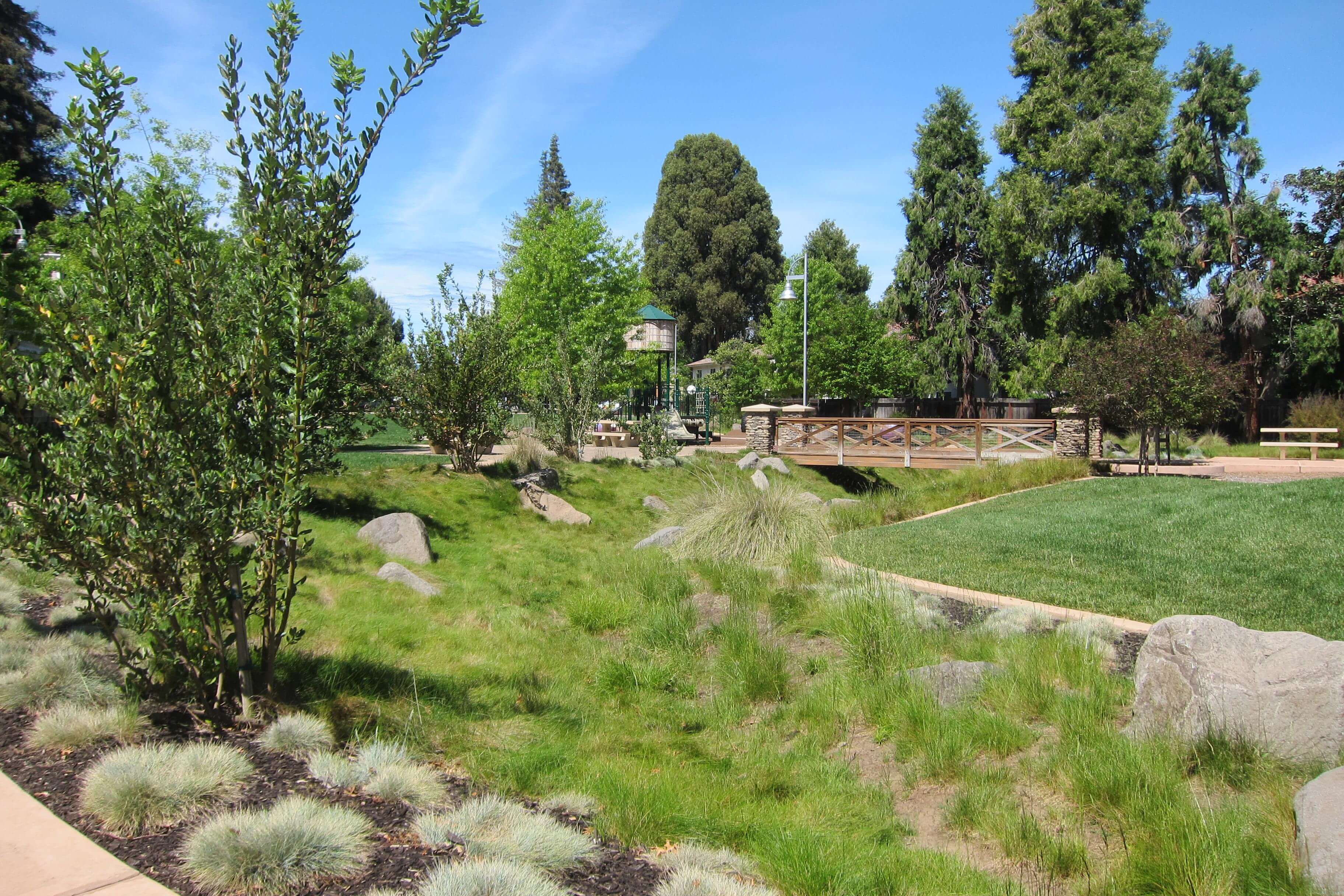 A grassy swale and lawn area with shrubs and small trees, in the distance is a small pedestrian bridge and play structure