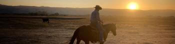 A rancher with a cowboy hat riding a brown horse across an empty field, with the sunsetting over mountains in the distance behind them