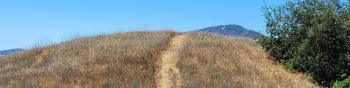 A hillside with brown-gold grass and a faint trail going up the middle of it